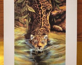 Jaguar 8.5 x 11 Print - Jaguar