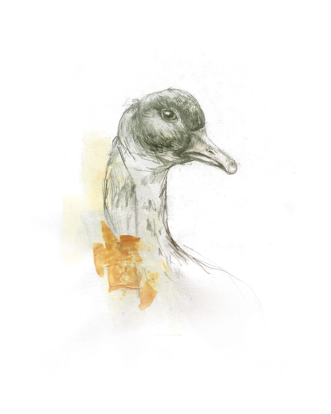 Art Print of Goose Collage Illustration - Etsy