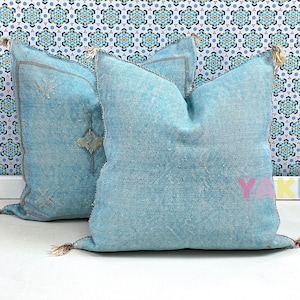 May include: Two light blue throw pillows with tassels. The pillows have a subtle woven pattern and are arranged on a white surface with a patterned background.
