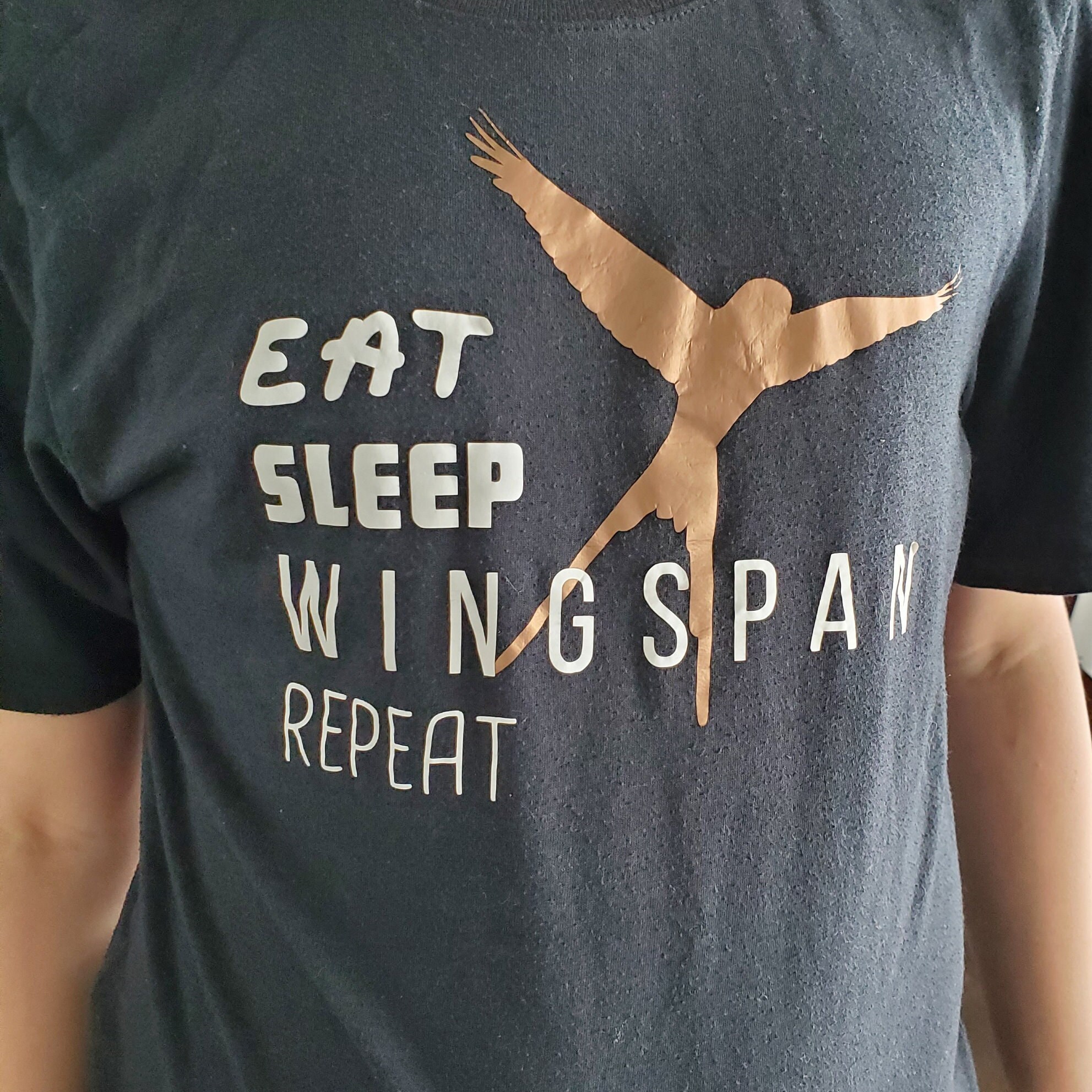 Wingspan Board Game SVG PNG PDF Eat Sleep Wingspan Repeat Game Night