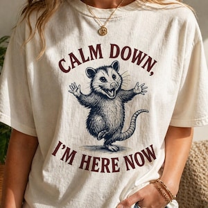 Funny Possum Shirt Calm Down Im Here Now Tee, Opossum Graphic T Shirt, Cute Meme Shirt, Retro Vintage Animal Tee, Unisex Gift Shirt image 2