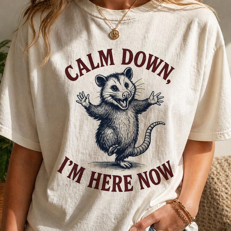 Funny Possum Shirt Calm Down Im Here Now Tee, Opossum Graphic T Shirt, Cute Meme Shirt, Retro Vintage Animal Tee, Unisex Gift Shirt image 2
