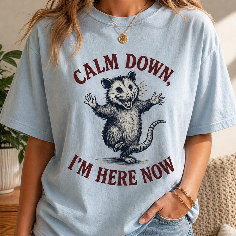 Funny Possum Shirt Calm Down Im Here Now Tee, Opossum Graphic T Shirt, Cute Meme Shirt, Retro Vintage Animal Tee, Unisex Gift Shirt image 3