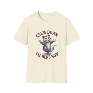 Funny Possum Shirt Calm Down Im Here Now Tee, Opossum Graphic T Shirt, Cute Meme Shirt, Retro Vintage Animal Tee, Unisex Gift Shirt image 6