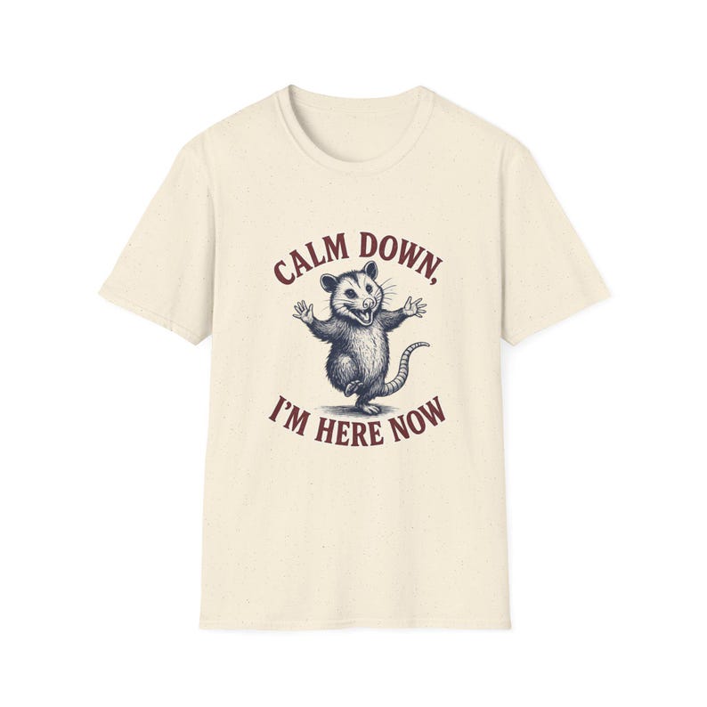 Funny Possum Shirt Calm Down Im Here Now Tee, Opossum Graphic T Shirt, Cute Meme Shirt, Retro Vintage Animal Tee, Unisex Gift Shirt image 6