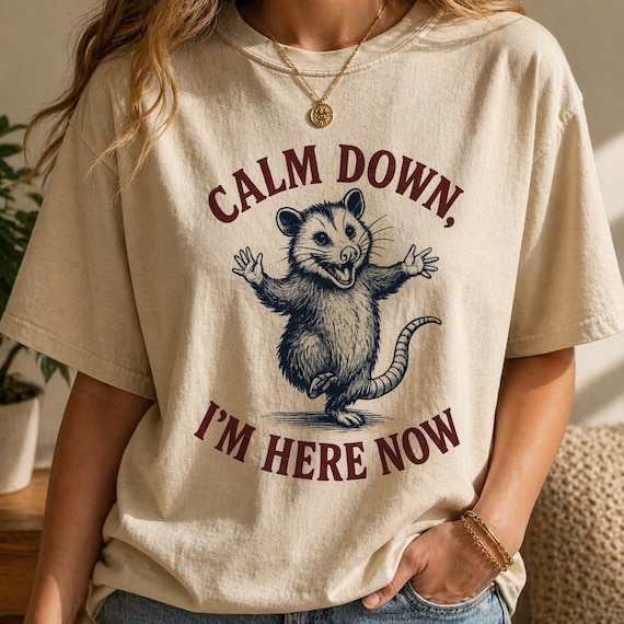 Funny Possum Shirt Calm Down Im Here Now Tee, Opossum Graphic T Shirt, Cute Meme Shirt, Retro Vintage Animal Tee, Unisex Gift Shirt