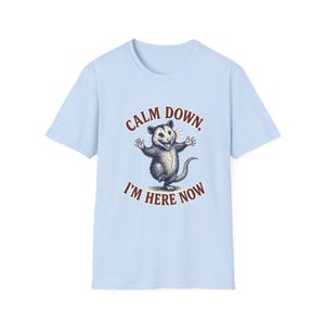Funny Possum Shirt Calm Down Im Here Now Tee, Opossum Graphic T Shirt, Cute Meme Shirt, Retro Vintage Animal Tee, Unisex Gift Shirt image 7