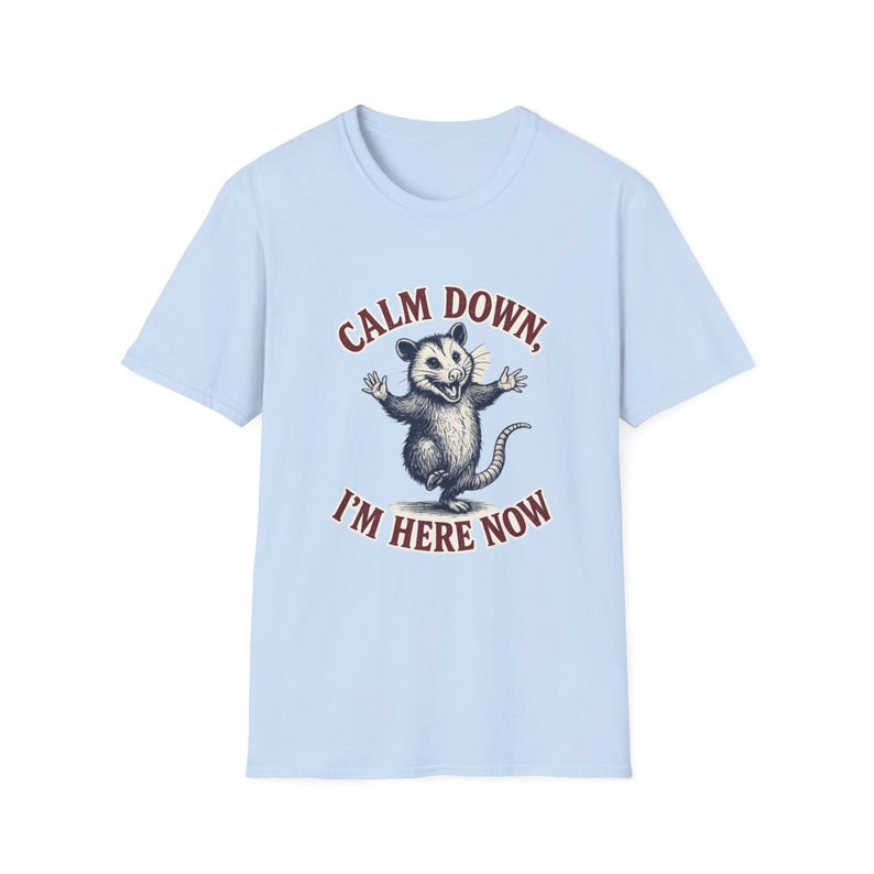 Funny Possum Shirt Calm Down Im Here Now Tee, Opossum Graphic T Shirt, Cute Meme Shirt, Retro Vintage Animal Tee, Unisex Gift Shirt image 7