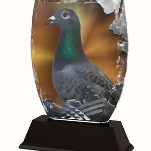May include: A crystal award with a black base featuring a clear image of a gray and green pigeon.