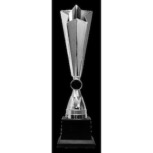 TrophyMonster  Silver Star Trophy Award  3 sizes