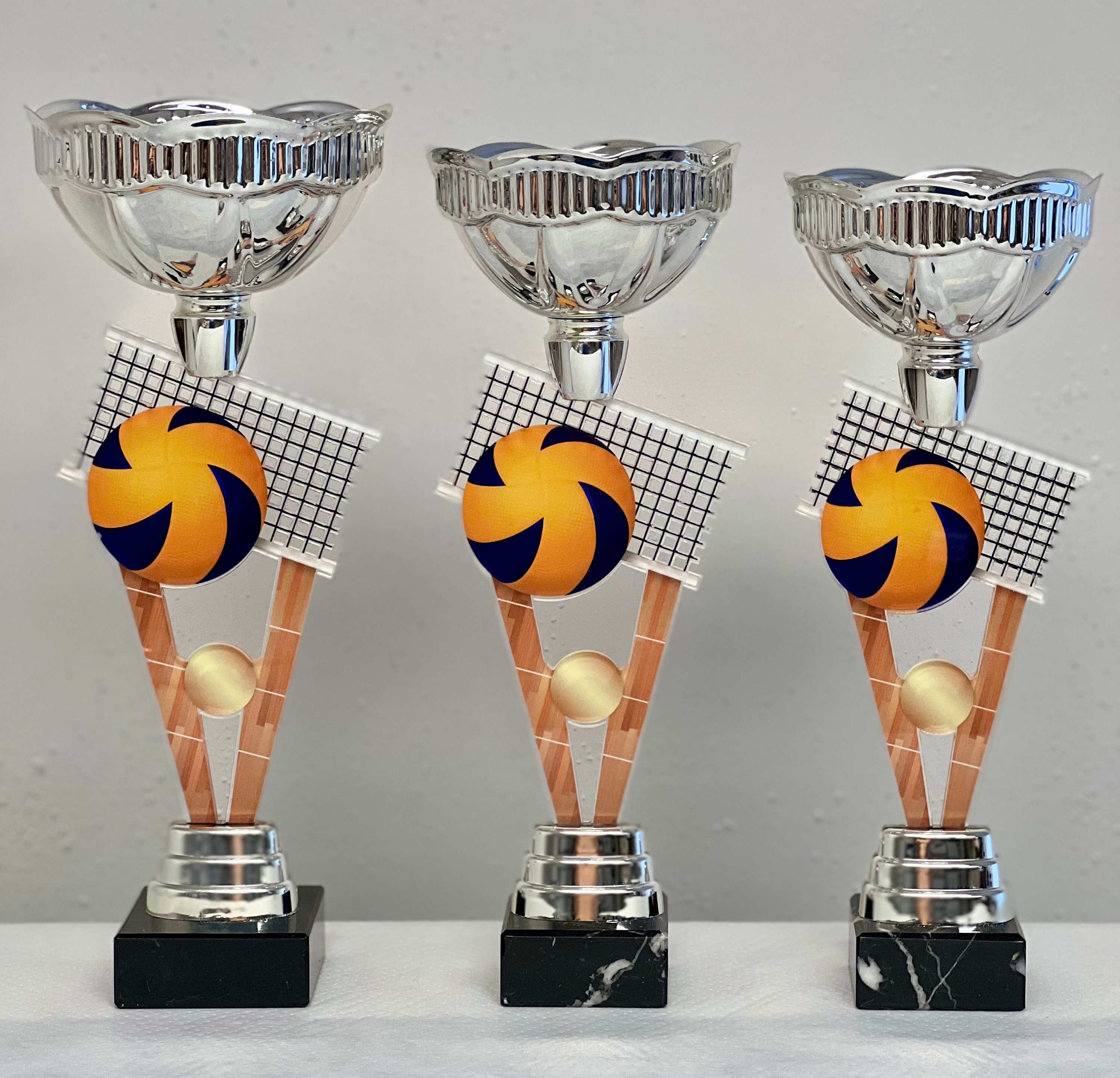 Volleyball Trophy - Silver Cup Award for Sports Achievement | Bulk