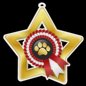 Trophy Monster 10 x Pack of Acrylic Gold Star Medal Dog Paw Award  | for Club, School & Presentations |