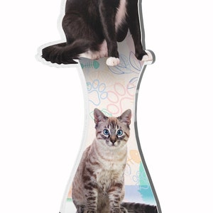 Trophy Monster Cat Full Color Or Resin Double Printed  1/8&quot;  Thick Trophy Stunning Award