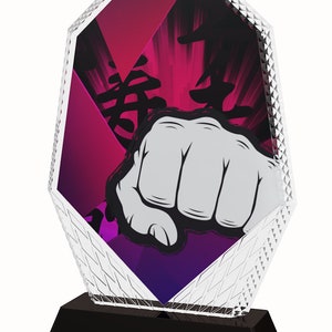 Trophy Monster  Martial Arts Full Color Printed 5/16&quot; Thick Trophy Stunning Award