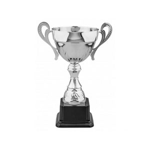 May include: A silver trophy cup with two handles and a black base. The cup has a classic design with a round bowl and a tall, slender stem.
