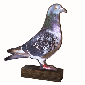 May include: A gray and white pigeon figurine with red feet standing on a dark brown wooden base.