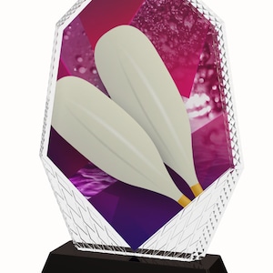 Peut inclure: Un trophée en cristal avec une base noire. Le trophée présente un design abstrait coloré et deux massues de jonglage blanches.