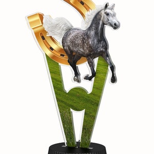 Trophy Monster Equestrian Full Color Printed  1/8&quot;  Thick Trophy Stunning Award