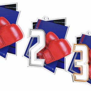Trophy Monster 10 Pieces Of 1st  Place of Acrylic  Medal Boxing Award 3 1/2&quot;  | for Club, School & Presentations |