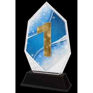 Trophy Monster  1st Place Winter Sports Full Color Printed 1/3&quot; Thick Trophy Stunning Award 3 Sizes