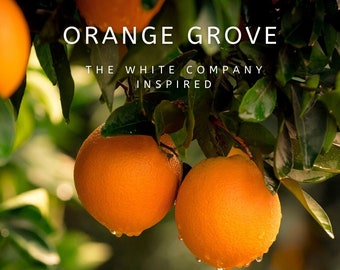 Orange Grove Fragrance Oils. White Company Inspired. Free Shipping. Highly Concentrated and Long Lasting. Various Sizes Available.