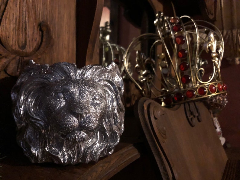 Silver Lion Macetero de hormigón suculento Lion of Judah imagen 4