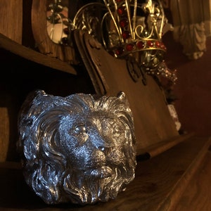Silver Lion Macetero de hormigón suculento Lion of Judah imagen 2