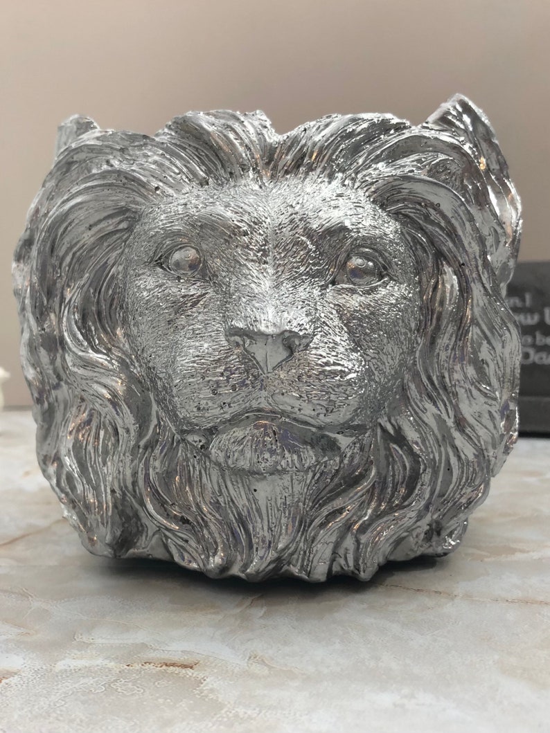 Silver Lion Macetero de hormigón suculento Lion of Judah imagen 5