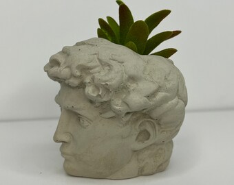 Mini David Concrete Succulent Planter - Mini Air Plant Planter - Natural Concrete