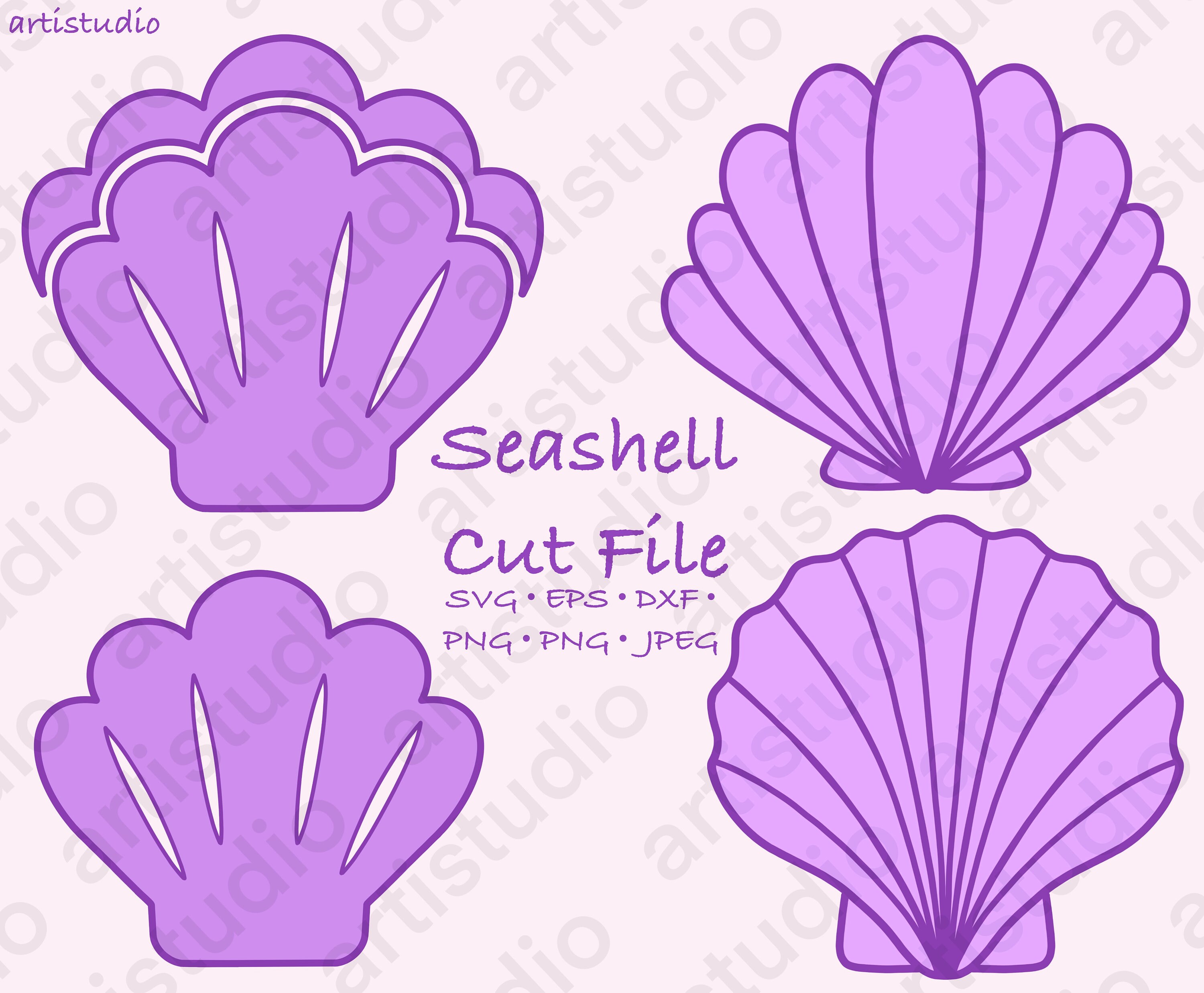 Muschel SVG Seashell Shell Cut File Digitale Datei Bundle PNG JPEG 2