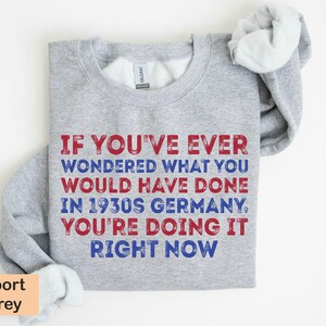 May include: A gray sweatshirt with the text "If you've ever wondered what you would have done in 1930s Germany, you're doing it right now." printed in red and blue.