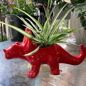 Triceratops planter