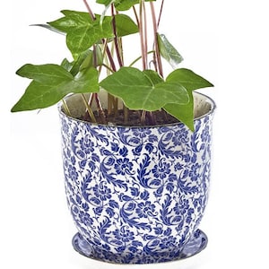 Tea cup planter with live plant set