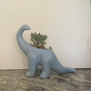 Puede incluir: Un macetero de dinosaurio de cerámica azul claro con una planta suculenta creciendo en su interior.