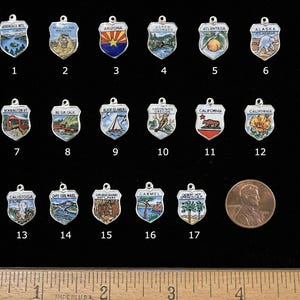 May include: A collection of 17 silver charm pendants, each featuring a different state or location. The charms are in the shape of shields and are decorated with colorful enamel designs. The charms are arranged in rows on a black surface with a ruler for scale.