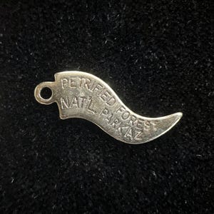May include: Silver charm shaped like a horn with the text "Petrified Forest Natl Park AZ" engraved on it.