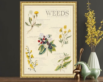 Perdu dans les mauvaises herbes