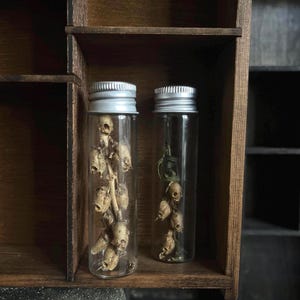Snapdragon Seed Pod Glass Vial | Curiosities | Oddities | Curio | Wunderkammer | Botany | Gift | Dried Botanicals | Floral |