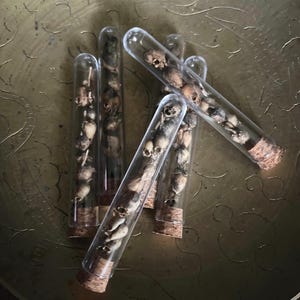 May include: Five glass test tubes filled with small animal skulls and sealed with cork stoppers. The test tubes are arranged on a gold-colored surface.
