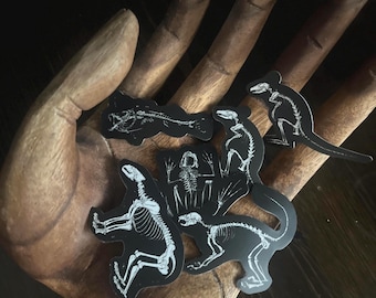 Animal skeleton sticker set | vinyl | ephemera | junk journal | junk drawer | oddities | curiosities