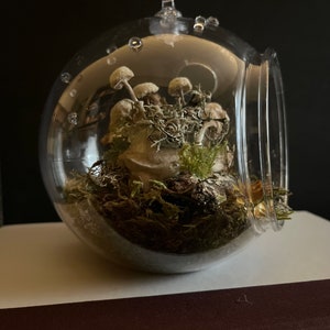 Until The Land Takes Us Mink skull terrarium with moss and mushrooms image 2