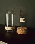 Specimen No 22914 • The Tooth Fairy Mini Display | Dentist | Dental | Oddity | Gift