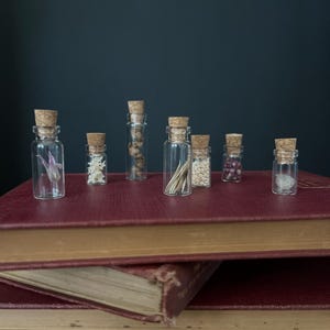 Micro miniature specimen vials | snapdragon pods | hedgehog quills | fairy flower | spider egg | okinawa star sand | rattlesnake vertebrae