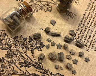 Crinoid fossil | stars | stems | flowers | fossil | specimen | oddity | curiosity | wunderkammer |