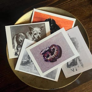 Animal Oddities Trading Cards | Curiosities | Circus | Carnival | Sideshow | Ephemera | Junk Drawer | Wunderkammer |