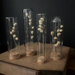 Vintage Oddities