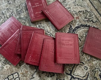 Little leather library books | bibliophile | book lovers | literary classics | decor | gifts |