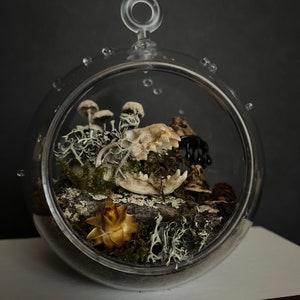 Until The Land Takes Us Mink skull terrarium with moss and mushrooms image 5