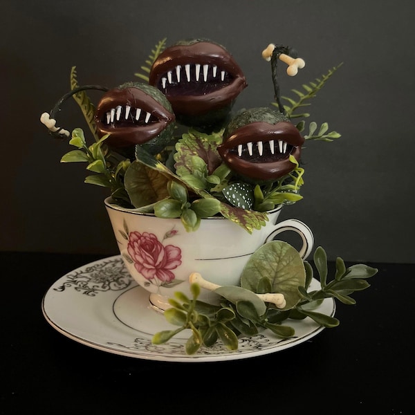 ÚLTIMA OPORTUNIDAD • Cuidado, muchacho, te va a masticar / Venus atrapamoscas / Planta carnívora / Botánica / Rarezas / Curiosidades