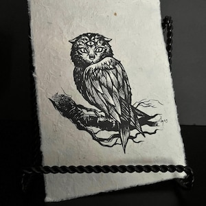 Curioddities OwlCat Print | Fine Art | Lotka Paper | Curiosities | Oddities | Wunderkammer | Gift |